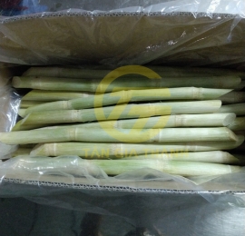 Frozen sugarcane from Vietnam - Good quality - Good price