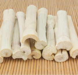 Dry sugar cane stick