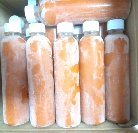 Frozen carrot juice for export