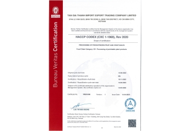 Certificate  HACCP