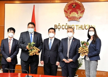 Viet Nam - Switzerland: Promoting economic and trade cooperation and negotiating FTA Vietnam - EFTA