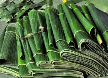 The production process of frozen banana leaves of Tan Gia Thanh Company
