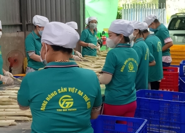 Process and export frozen vegetables and fruits in Vietnam