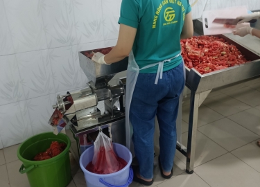 Where to buy frozen watermelon juice for export in Vietnam