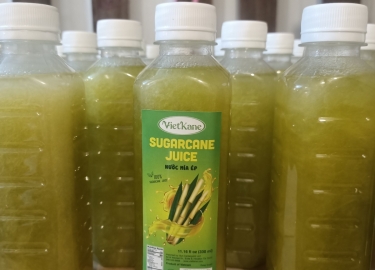 Supply frozen prepared sugarcane juice with competitive price