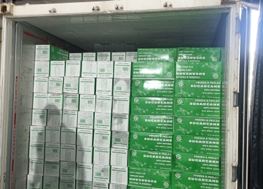 Frozen exported sugarcane with good quality to the UK market