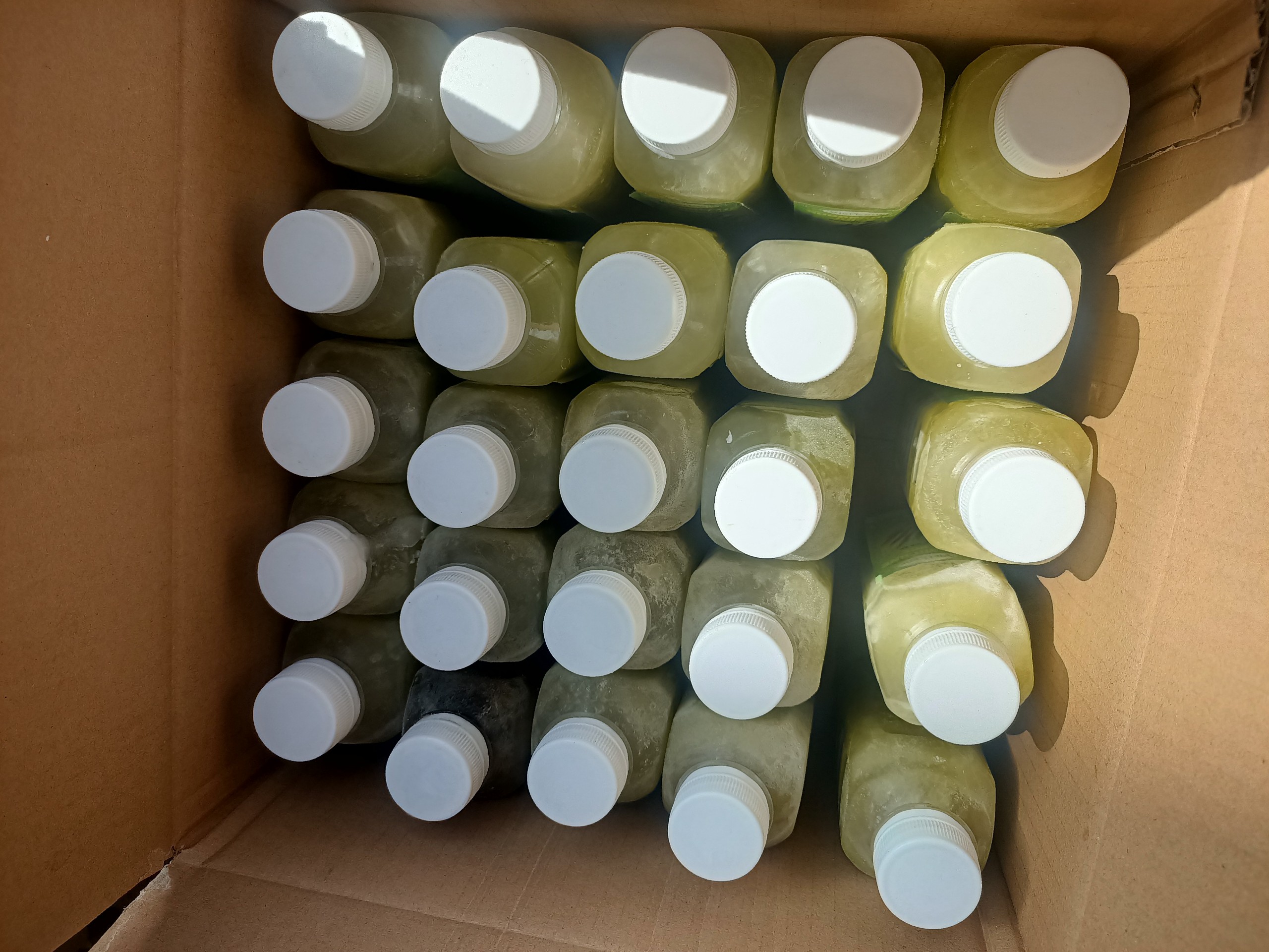 Frozen sugarcane juice is packed in PET bottles