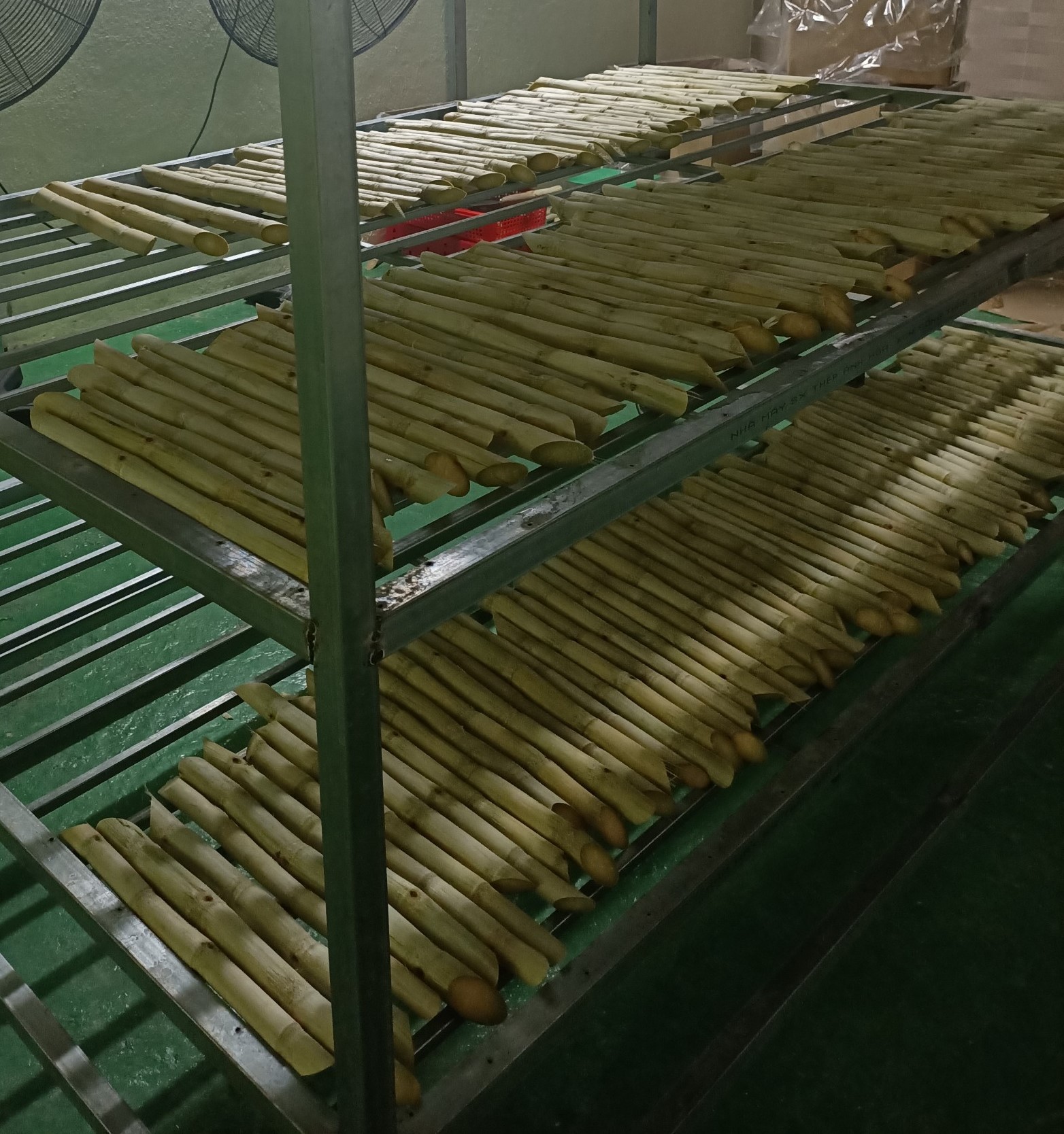 Sugar cane stick in producing frozen sugar cane juice