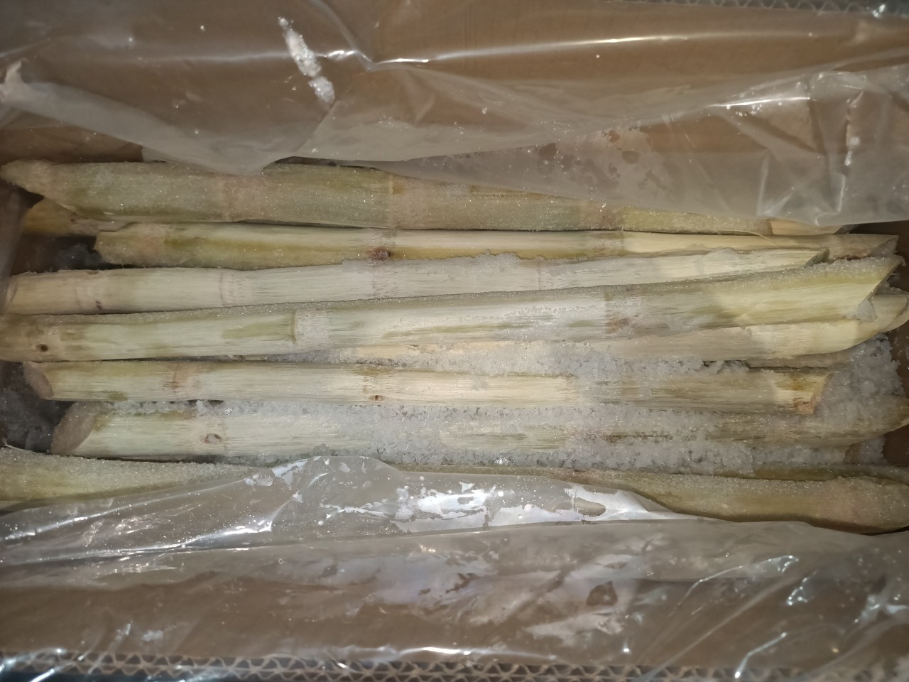 Tan Gia Thanh's frozen sugar cane for export