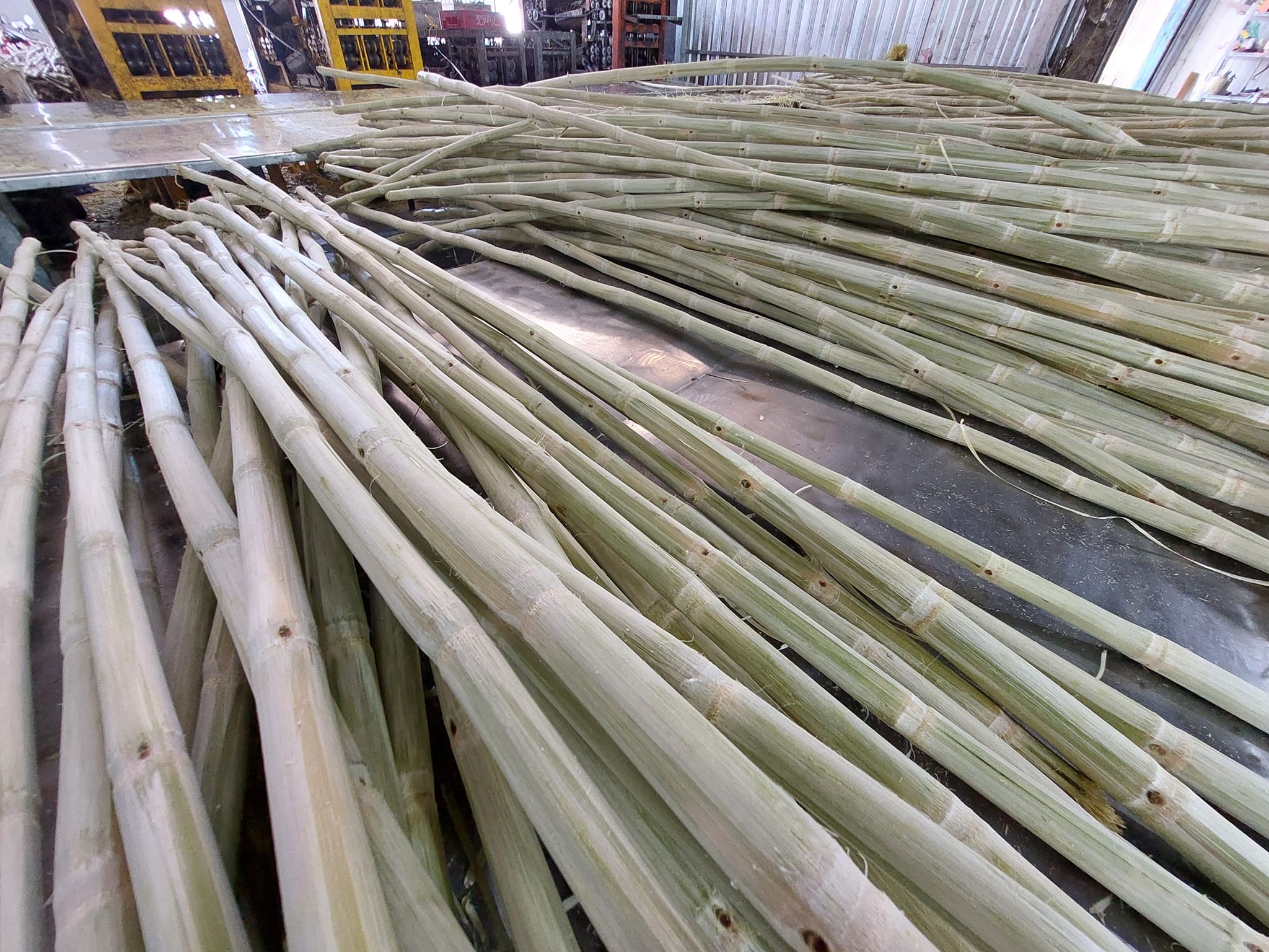 Tan Gia Thanh is one of reputable manufacturers that specilizes in producing and supplying frozen sugarcane sticks in Vietnam